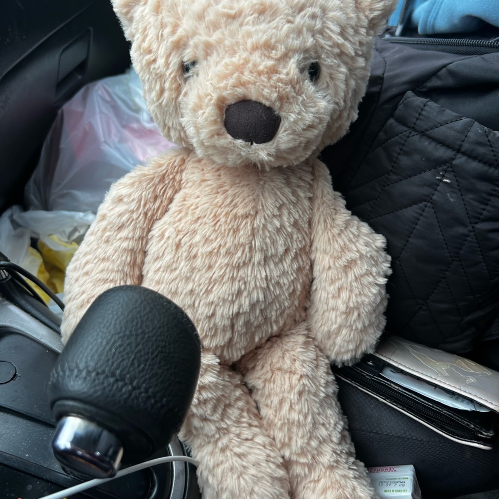 Finley bear jellycat